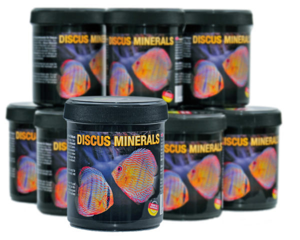 discus_minerals_gruppe-600x480.jpg